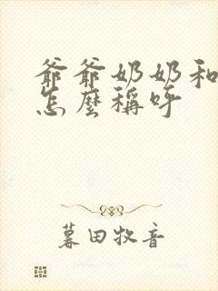 爷爷奶奶和孙子怎么称呼