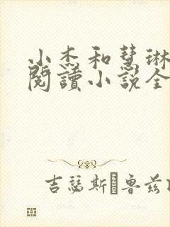 小杰和慧琳在线阅读小说全文