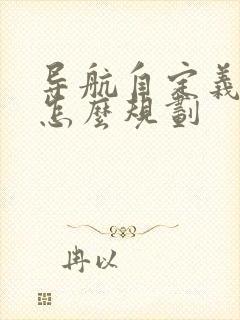 导航自定义路线怎么规划