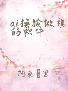 ai换脸做视频的软件