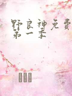 野良神免费观看第一季