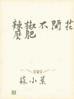 辣椒不开花施什么肥