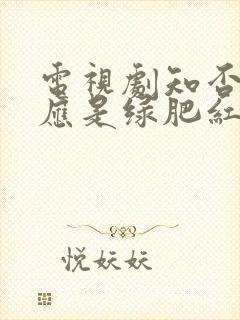 电视剧知否知否应是绿肥红瘦什么意思