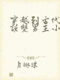 穿越到古代的小说双男主小说
