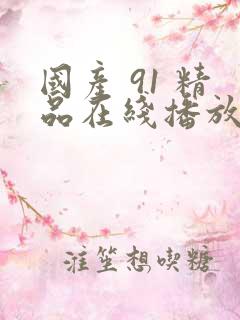 国产 91 精品在线播放
