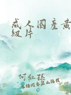 成人国产黄色一级片