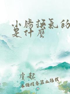 小肠换气的病因是什么