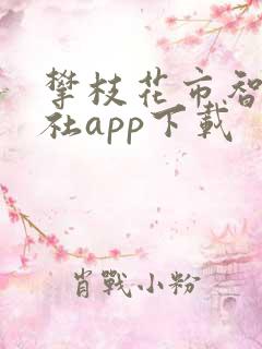 攀枝花市智慧人社app下载