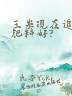玉米现在追什么肥料好?