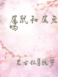 属鼠和属兔合财吗