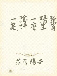 一阴一阳发大财是什么生肖