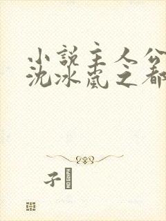 小说主人公陈轩沈冰岚之都市修仙
