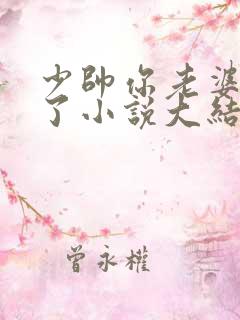 少帅你老婆又跑了小说大结局