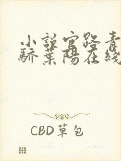 小说官路青云天骄叶阳在线阅读 小说官路青云天骄叶阳在线阅读