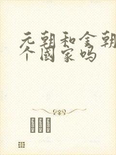 元朝和金朝是一个国家吗