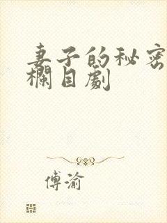 妻子的秘密普法栏目剧
