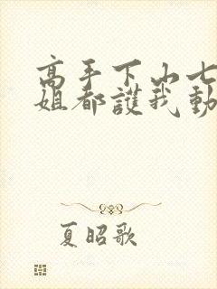 高手下山七个师姐都护我动漫