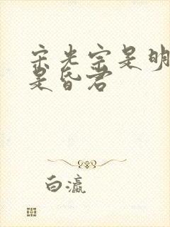 宋光宗是明君还是昏君