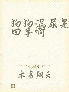 狗狗漏尿是怎么回事啊 狗狗漏尿是怎么回事啊