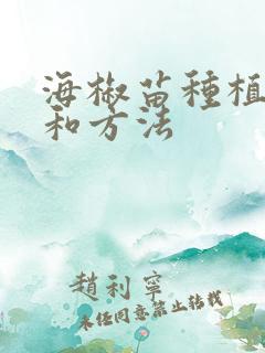 海椒苗种植时间和方法