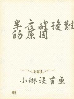 半夜醒后难入睡的原因