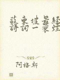 苏东坡最经典的诗词一蓑烟雨任平生