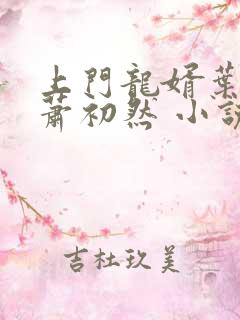 上门龙婿叶辰,萧初然 小说