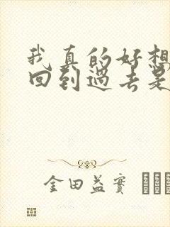 我真的好想能够回到过去是什么歌