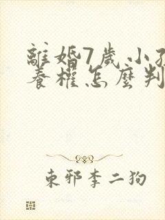 离婚7岁小孩抚养权怎么判