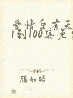 爱情自有天意61到100集免费看