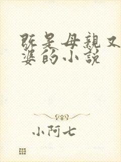 既是母亲又是老婆的小说