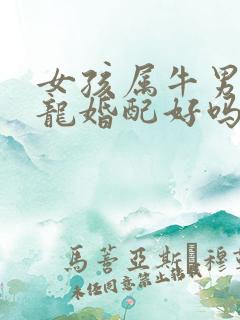 女孩属牛男孩属龙婚配好吗