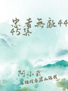 忠者无敌44集45集