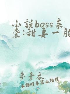 小说boss来袭:甜妻一胎双宝
