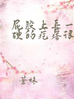 屁股上长一个硬硬的疙瘩很痒