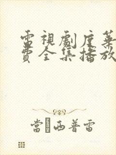 电视剧度华年免费全集播放