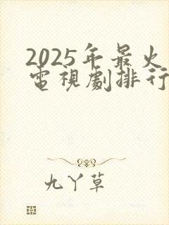 2025年最火电视剧排行榜前十名