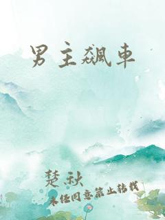 男主飙车