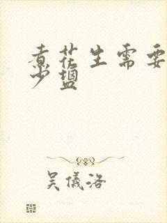 煮花生需要放多少盐
