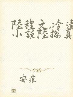 陆程文,冷清秋小说陆总真苟 陆程文,冷清秋小说陆总真苟