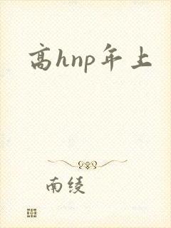 高hnp年上