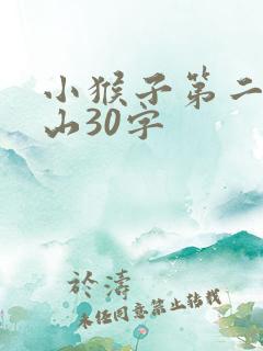 小猴子第二次下山30字