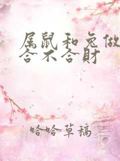 属鼠和兔做生意合不合财
