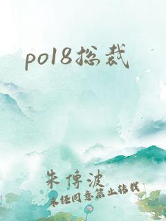 po18总裁