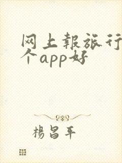 网上报旅行团哪个app好