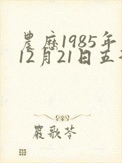 农历1985年12月21日五行八字