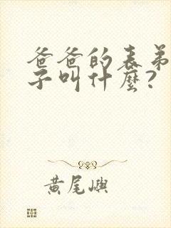 爸爸的表弟的儿子叫什么?