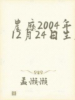 农历2004年12月24日生辰八字