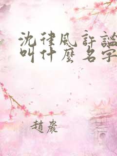 沈律风许谧小说叫什么名字