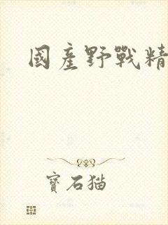 国产野战精品